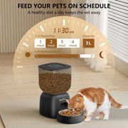 Smart Cat Feeding System - Dual Power Cat Feeder & Water Dispenser With Locking Lid, Desiccant Bag, Precise Portion Control For 4 Daily Meals, 10s Voice Recording Option