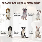 Dog Feeding Station, Dog Food Locker With Hidden Dog Bowl, Adjustable Panel, Hook, Medium Dog, White