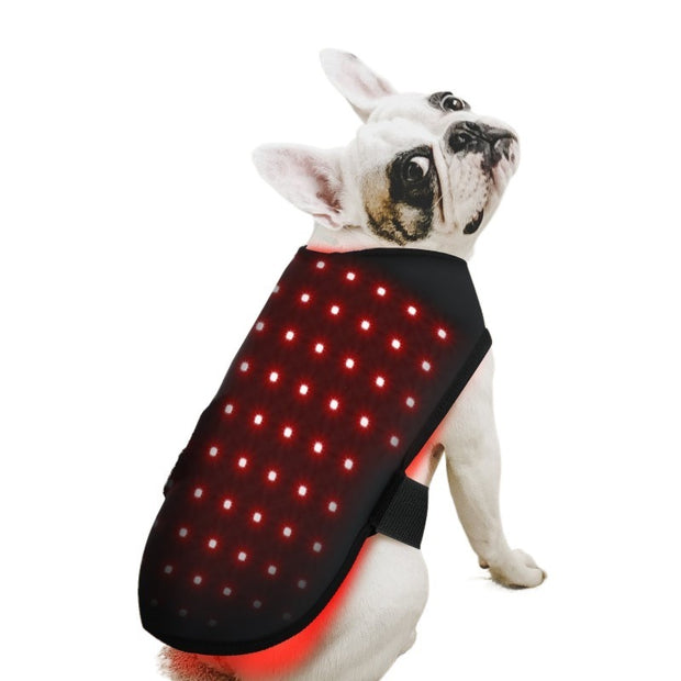 Pet Red Light Infrared Physiotherapy Home Wireless Portable Timing