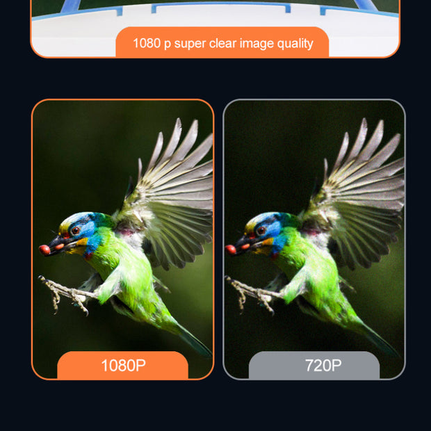 Solar Battery Camera Household Pet Feeder